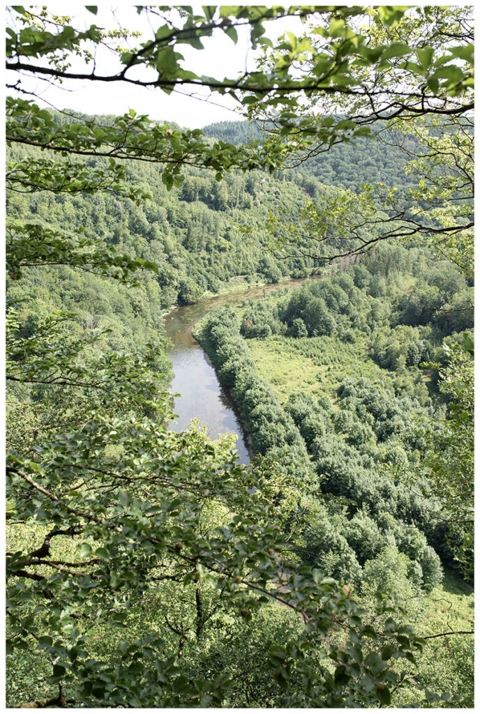 WWF in the field_Hans Moyson_nr. 14